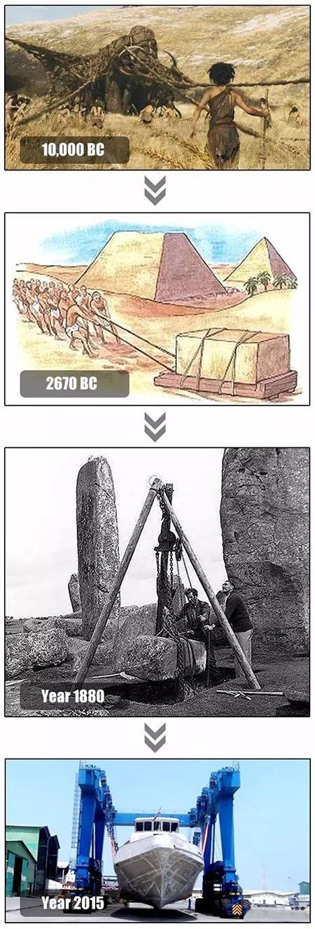 Perché gli esseri umani hanno bisogno di Crane.jpg Why Human Beings Need Crane.jpg