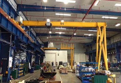 Gru europea semi goliath